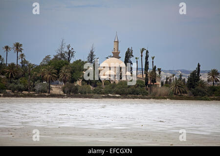 Die Hala Sultan Tekke Moschee in Larnaca Stockfoto