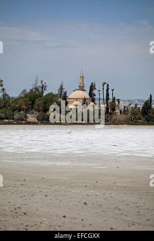 Die Hala Sultan Tekke Moschee in Larnaca Stockfoto