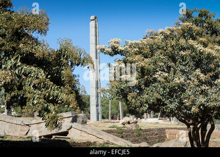 Stelen Park in Axum Tigre Provinz Äthiopien Afrika Stockfoto