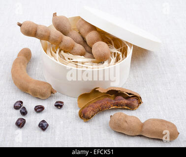 Getrockneten Tamarinde Früchte mit Samen in einem Holzkasten auf Leinen. Eine offene Hülse mit Fruchtfleisch im Inneren der Schale. Tamarindus Indica. Stockfoto