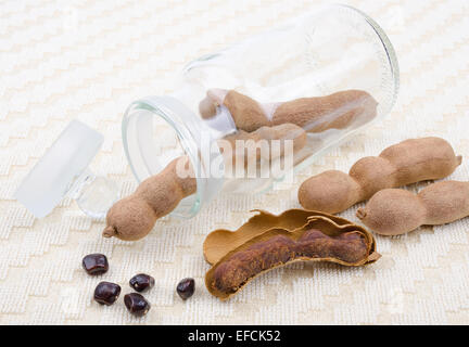 Getrockneten Tamarinde Früchte mit Samen in ein Glas auf Baumwolle. Eine offene Hülse mit Fruchtfleisch im Inneren der Schale. Tamarindus Indica. Stockfoto