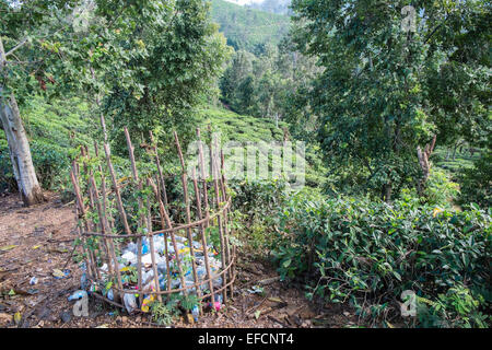 Kunststoff Abfall der bin am Little Adams Peak. grüne Landschaft. Hügel, Berg, Berg. Ella Gap.Tea Plantagen Stockfoto