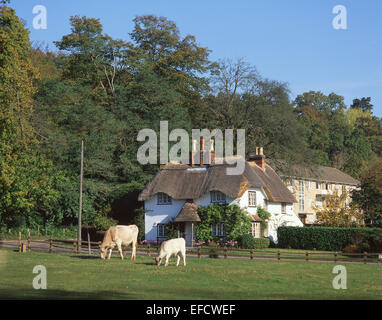 Hütte am Schwan grün, New Forest, Lyndhurst, Hampshire, England, Vereinigtes Königreich Stockfoto