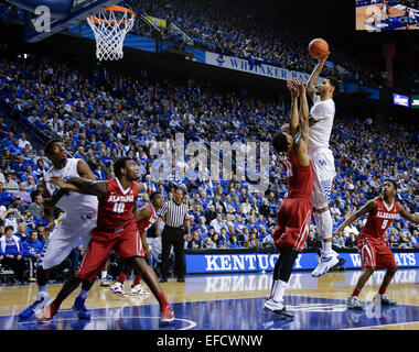 Lexington, Kentucky, USA. 31. Januar 2015. Kentucky Wildcats forward Willie Cauley-Stein (15) in zwei seiner 12 Punkte über Alabama Crimson Tide legte weiterleiten Shannon Hale (11), als Nr. 1 Kentucky Alabama 70-55 auf Freitag, 31. Januar 2014 in Lexington, Kentucky Foto von Mark Cornelison besiegte | Personal Credit: Lexington Herald-Leader/ZUMA Draht/Alamy Live-Nachrichten Stockfoto