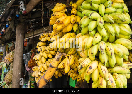 In der Stadt von Ella im Hochland von Sri Lanka.High Street General Store Shop verkaufen frisches Obst. Banane, Bananen, Lebensmittel, Ananas, Stockfoto