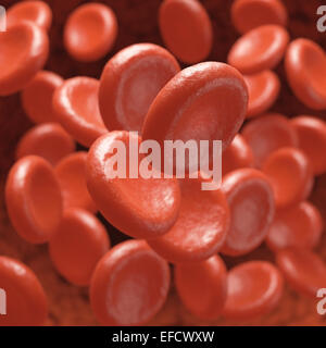 Roten Blutkörperchen in den Blutgefäßen mit Schärfentiefe bewegt. Stockfoto