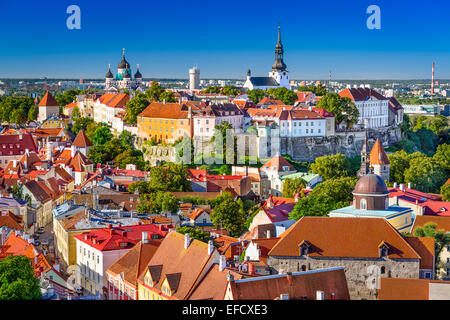 Tallinn, Estland, alte Stadt Skyline der Domberg. Stockfoto