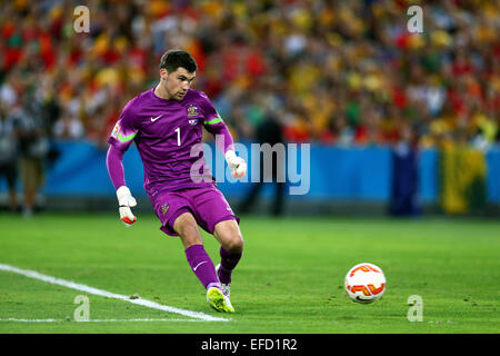 Sydney, Australien. 31. Januar 2015. Mathew Ryan (AUS) / Fußball: AFC Asien-Pokal Australien 2015 Final match zwischen Südkorea 1-2 Australien im Stadium Australia in Sydney, Australien. Bildnachweis: Kenzaburo Matsuoka/AFLO/Alamy Live-Nachrichten Stockfoto