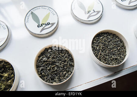 Newburgh Estate, Teil von Finlays Teeplantage in der Nähe von Little Adams Peak, 3 km von Ella Stadt. Grüner Tee produziert. Teeblätter. Stockfoto