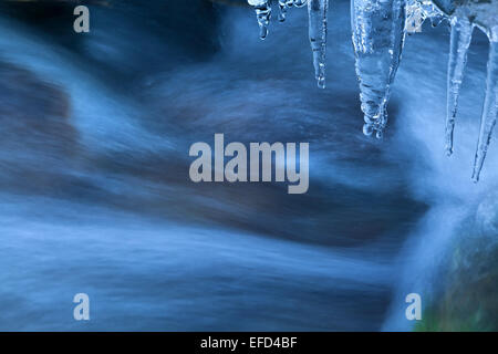 Eiszapfen und River Fluss im winter Stockfoto