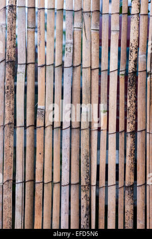 Texturen. Bambus-Bildschirm Fechten. Stockfoto