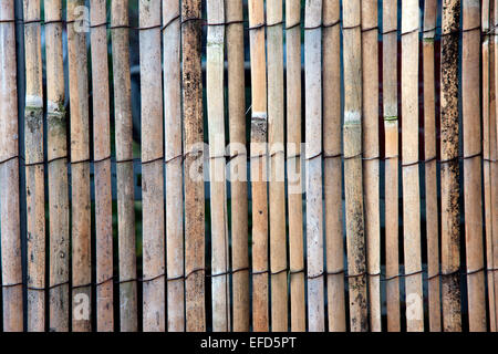 Texturen. Bambus-Bildschirm Fechten. Stockfoto