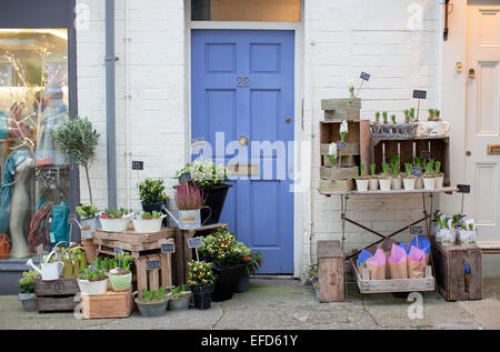 Ein Blumengeschäft in Clifton, Bristol. Stockfoto