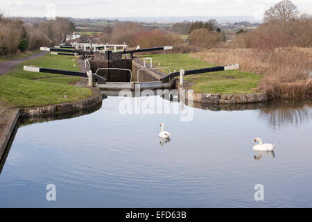 Caen Hill Locks, Kennet und Avon Canal, Devizes, Wiltshire, England, Großbritannien Stockfoto