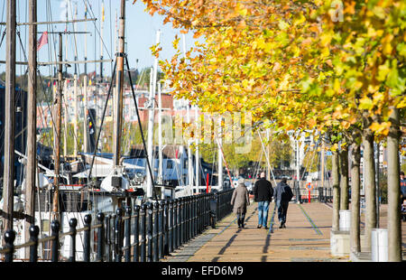 Die Menschen gehen in der warmen Herbstsonne unter goldenen Bäumen entlang am Hafen Bristol Schwimmdock. Stockfoto