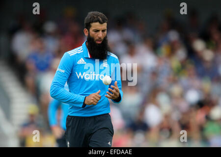 Perth, Australien. 1. Februar 2015. ODI Reihe Finale, Deutschland gegen England, Moeen Ali betrachtet seine Lieferung am nächsten. Bildnachweis: Aktion Plus Sport/Alamy Live-Nachrichten Stockfoto