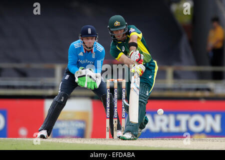 Perth, Australien. 1. Februar 2015. ODI Reihe Finale, Deutschland gegen England, verteidigt Glen Maxwell während seine Innings. Bildnachweis: Aktion Plus Sport/Alamy Live-Nachrichten Stockfoto