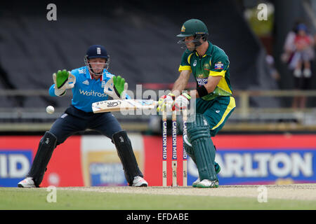 Perth, Australien. 1. Februar 2015. ODI Reihe Finale, Deutschland gegen England spielt Glen Maxwell einen reverse Sweep. Bildnachweis: Aktion Plus Sport/Alamy Live-Nachrichten Stockfoto