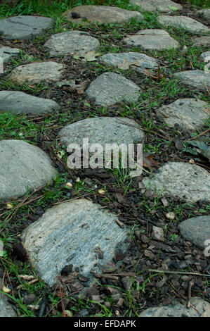 Steinen in Rasen Stockfoto