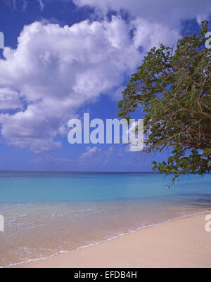 Darkwood Beach, Saint Mary Parish, Antigua, Antigua und Barbuda, kleine Antillen, Caribbean Stockfoto