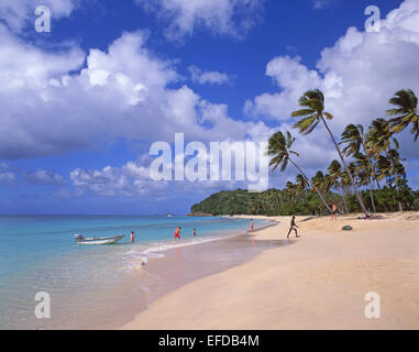 Darkwood Beach, Saint Mary Parish, Antigua, Antigua und Barbuda, kleine Antillen, Caribbean Stockfoto