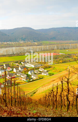 Bild zeigt die Weinberge von Deutschland Stockfoto