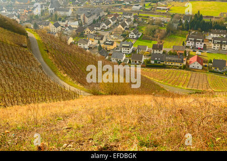 Bild zeigt die Weinberge von Deutschland Stockfoto