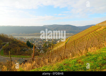 Bild zeigt die Weinberge von Deutschland Stockfoto