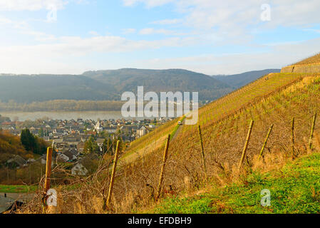 Bild zeigt die Weinberge von Deutschland Stockfoto