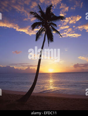 Tropischer Sonnenuntergang, Darkwood Beach, Saint Mary Parish, Antigua, Antigua und Barbuda, kleine Antillen, Caribbean Stockfoto