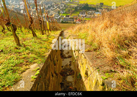 Bild zeigt die Weinberge von Rheinland-Pfalz in Deutschland Stockfoto