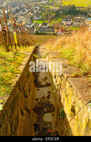 Bild zeigt die Weinberge von Rheinland-Pfalz in Deutschland Stockfoto