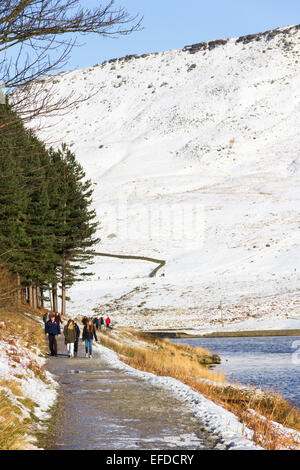 Großbritannien Wetter. Dove Stein Reservoir, Oldham. 1. Februar 2015.  Nach einer Woche von starken Winden und Perioden des Schnees die Gelegenheit eines klaren und sonnigen sonntags Besucher Dovestone Reservoir, genießen die Schnee bedeckten malerischen Hügeln rund um Saddleworth Moor am nordwestlichen Rande des Peak District. Dove Stein Stausee liegt zwischen Oldham und Holmfirth und wird als eine Partnerschaft zwischen United Utilities und The Royal Society zum Schutz der Vögel geführt. Stockfoto