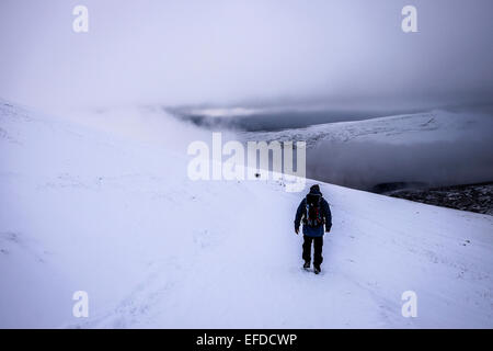Menschen im Schnee auf den Brecon Beacons. Stockfoto