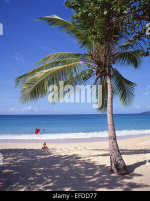 Darkwood Beach, Saint Mary Parish, Antigua, Antigua und Barbuda, kleine Antillen, Caribbean Stockfoto