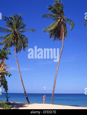 Tropical Beach, Grand Anse Bay, Saint George Parish, Grenada, Kleine Antillen, Karibik Stockfoto