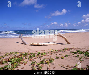 Ostküste Strand, Batseba, die Pfarrkirche St. Josef, Barbados, kleine Antillen, Karibik Stockfoto