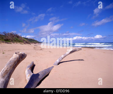 Ostküste Strand, Batseba, die Pfarrkirche St. Josef, Barbados, kleine Antillen, Karibik Stockfoto