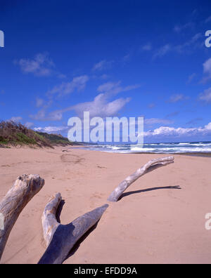 Ostküste Strand, Batseba, die Pfarrkirche St. Josef, Barbados, kleine Antillen, Karibik Stockfoto