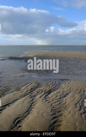 Borth Ynysidas Beach Stockfoto