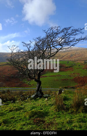Im Winter geht es auf Cadair Idris Stockfoto