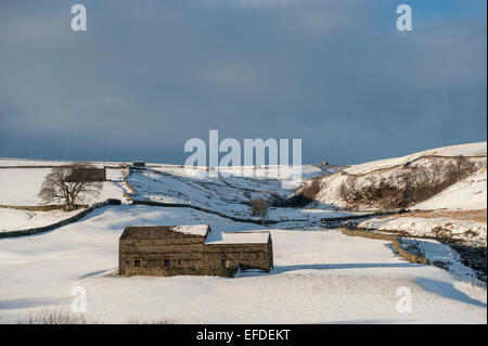 Traditionellen steinernen Scheunen im oberen Swaledale nach einem Schnee Sturm, Yorkshire Dales, UK. Stockfoto