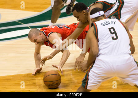 Milwaukee, WI, USA. 31. Januar 2015. Portland Trail Blazers guard Steve Blake #25 Tauchgänge für eine lockere Kugel während der NBA-Spiel zwischen den Portland Trail Blazers und die Milwaukee Bucks im BMO Harris Bradley Center in Milwaukee, Wisconsin. Bucks besiegten die Trail Blazers 95-88. John Fisher/CSM/Alamy Live-Nachrichten Stockfoto