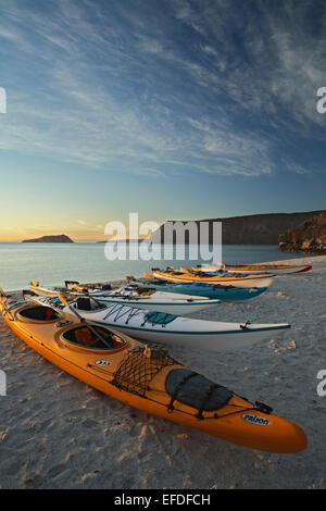 Kajaks am Strand, Insel Espiritu Santo, Sea of Cortez, in der Nähe von La Paz, Baja California Sur, Mexiko Stockfoto