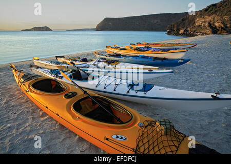 Kajaks am Strand, Insel Espiritu Santo, Sea of Cortez, in der Nähe von La Paz, Baja California Sur, Mexiko Stockfoto