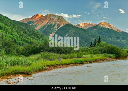 Rouges und Red Mountain Creek, in der Nähe von Ouray, Colorado USA Stockfoto