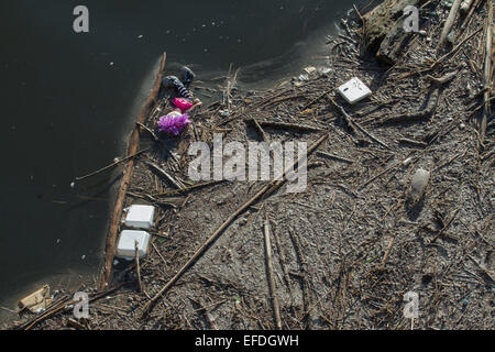 GLASGOW, Schottland - 1. Februar 2015: bunten Puppe an den Ufern des Flusses Clyde mit anderen Schutt angeschwemmt Stockfoto