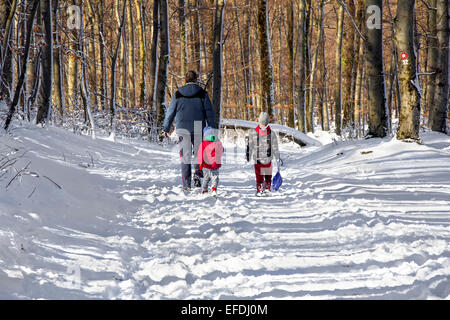 Rückansicht auf zwei Kinder mit Vater bei einem Spaziergang im Schneewald Stockfoto