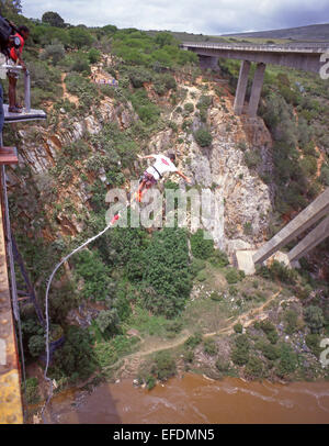 Bungy Sprung von Bloukrans-Brücke in der Nähe von Plettenberg, Kap-Halbinsel, Western Cape, Südafrika Stockfoto