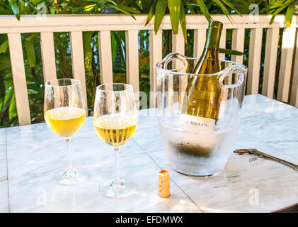 Wein in der Sonne genießen. Stockfoto